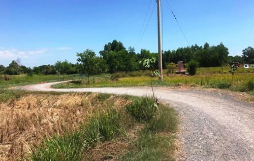 Sau khi gây ra vụ thảm sát, trưa mùng 1 Tết, Tình ghé nhà người bạn tên K. ở huyện Cần Giuộc, tỉnh Long An thì bị lực lượng Công an ập đến bắt giữ cùng chiếc xe máy Wave RS của các nạn nhân.