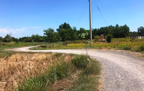 Con đường quê dẫn về nhà anh K. ở ấp 3, xã Long An, huyện Cần Giuộc. Nơi nghi phạm Tình ghé qua vào trưa mồng 1 Tết và bị Công an bắt giữ.