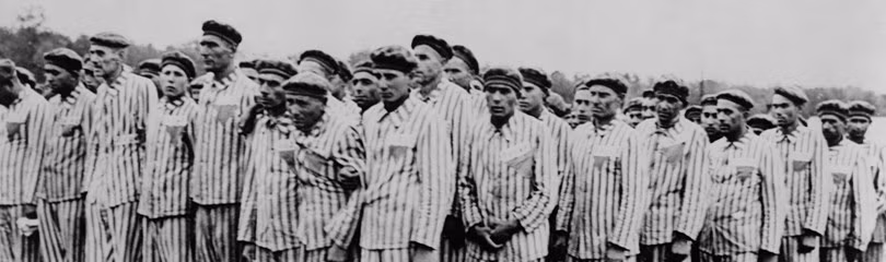 Cũng trong thảm họa diệt chủng Holocaust, Đức quốc xã còn tàn sát hơn 5 triệu người thuộc các nhóm cộng đồng khác.