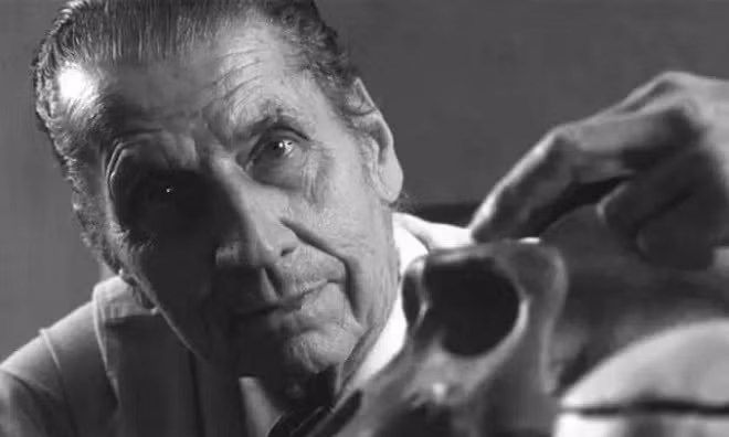 José Delgado (1915 - 2011) tốt nghiệp ĐH Madrid. Sau khi ra trường, ông trở thành giáo sư uy tín tại ĐH Yale của Mỹ. Khi công tác tại khoa sinh lý học, ông Delgado có những nghiên cứu kỳ lạ về việc kiểm soát trí óc.