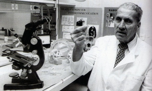 Không chỉ thử nghiệm trên động vật, ông Delgado còn tiến hành trên cơ thể người.