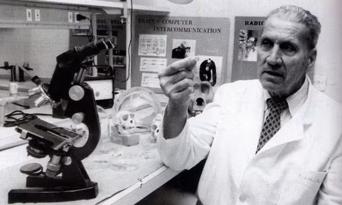 Không chỉ thử nghiệm trên động vật, ông Delgado còn tiến hành trên cơ thể người.