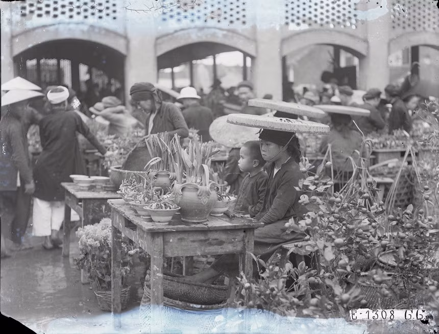 Người dân Hà Nội thời xưa cũng trang trí nhà cửa đón tết với nhiều chậu cây cảnh nhỏ. Do vậy, các khu chợ bày bán khá nhiều loại cây cảnh đẹp để phục vụ nhu cầu của người dân dịp tết. 