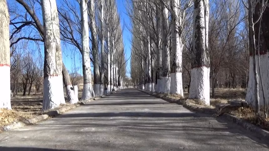 Giữa những đàn bò và cờ Phật giáo Tây Tạng rải rác trên những vùng cao nguyên ở Tây Bắc của Trung Quốc là tàn tích của một " thành phố nguyên tử" đã biến mất khỏi bản đồ từ năm 1958. Xưởng, kho chứa và kí túc xá bỏ hoang là những tàn dư của Nhà máy 221. Ảnh: Ruptley.