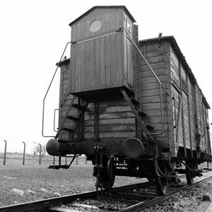 Nhiều người Do Thái chết trong quá trình di chuyển đến các trại tập trung do bị nhét vào trong các toa xe lửa chật kín người, không có nước, thức ăn hay nhà vệ sinh...