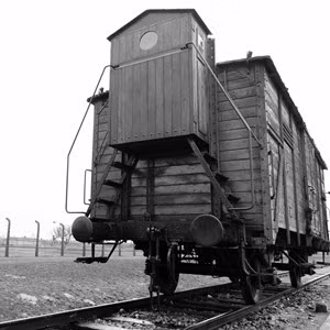 Nhiều người Do Thái chết trong quá trình di chuyển đến các trại tập trung do bị nhét vào trong các toa xe lửa chật kín người, không có nước, thức ăn hay nhà vệ sinh...