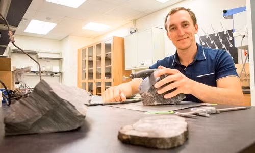 Gulbranson xem xét các hóa thạch thân cây lấy từ Nam Cực.