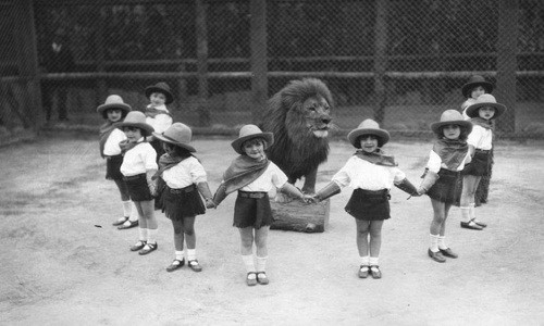 Một nhóm học sinh tiểu học nữ nắm tay nhau đứng xung quanh một chú sư tử tại trang trang sư tử của Charles và Muriel Gay.