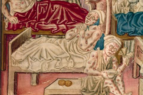 Thời Trung cổ, người dân Anh cũng như ở nhiều nước châu Âu chịu thiệt hại nghiêm trọng bởi đại dịch Cái chết Đen. Theo đó, dịch hạch đã cướp đi tính mạng của 2/3 dân số.