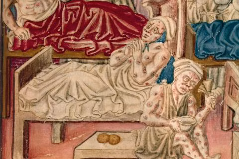 Thời Trung cổ, người dân Anh cũng như ở nhiều nước châu Âu chịu thiệt hại nghiêm trọng bởi đại dịch Cái chết Đen. Theo đó, dịch hạch đã cướp đi tính mạng của 2/3 dân số.