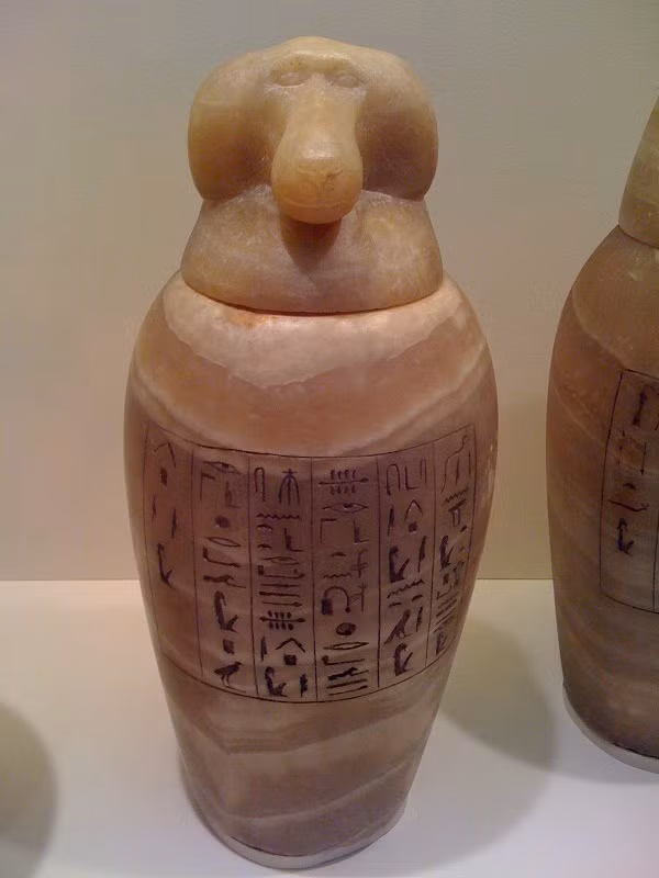 Trong đó, Hapi là vị thần bảo vệ những lá phổi. Vị thần này được miêu tả có hình dạng khỉ đầu chó.