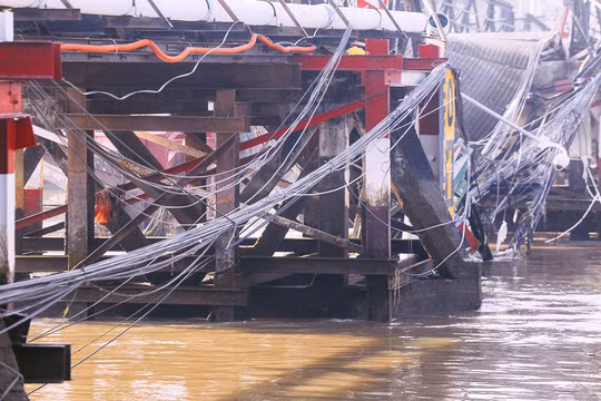 Các bó dây cáp lòng thòng trên mặt nước