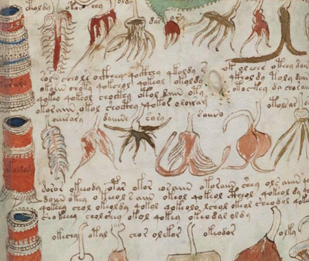 Trước khi bắt tay vào việc giải mã nội dung bản thảo Voynich, nhóm nghiên cứu của ông Kondrak từng sử dụng thuật toán thống kê mà ông tin rằng chính xác đến 97% khi dịch Tuyên bố chung của Liên hợp quốc về quyền con người sang 380 ngôn ngữ khác nhau.