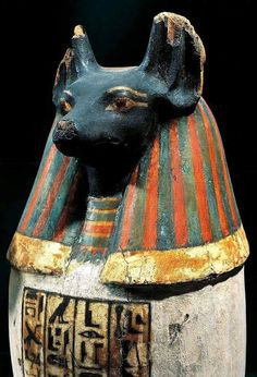 Trong thần thoại của Ai Cập, thần Duamutef được miêu tả sinh ra từ một bông hoa loa kèn.