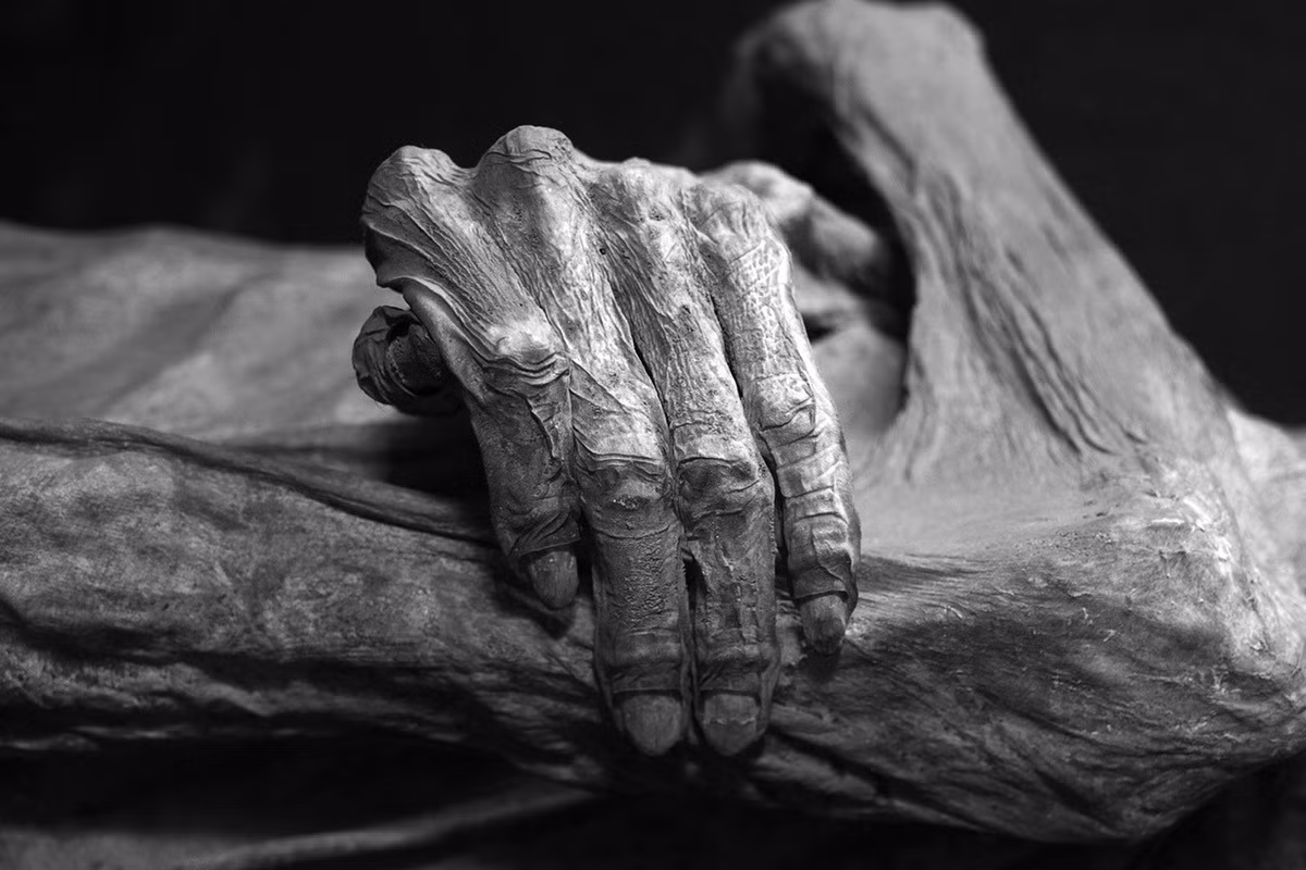 Lời nguyền khắc nghiệt này đã gây ra cái chết của những người đã mạo phạm chốn yên nghỉ của pharaoh Tutankhamun.