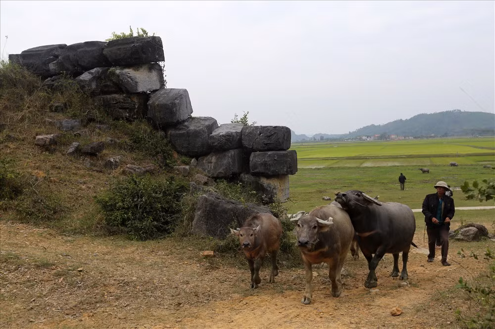 Năm 2015, CNN đã xếp Thành nhà Hồ là “một trong 21 di sản nổi bật và vĩ đại nhất thế giới”.