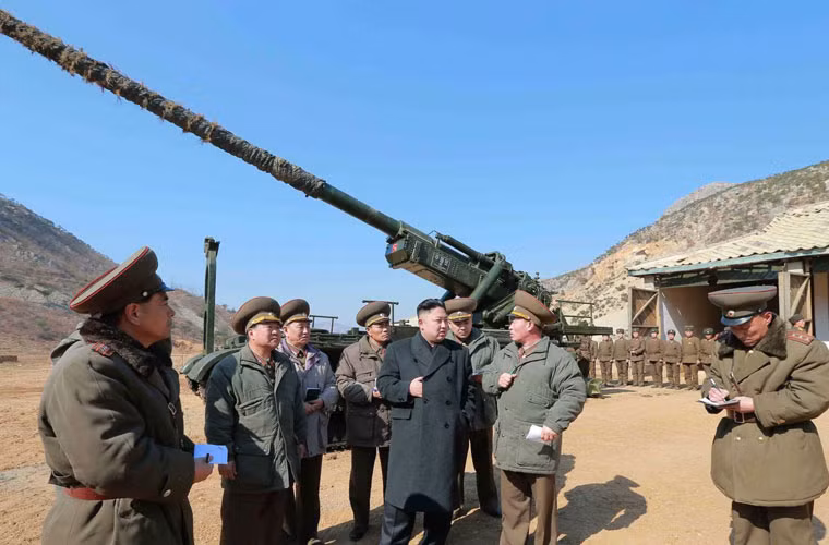 Không rõ kích cỡ tổng thể của khẩu pháo là bao nhiêu, nhưng quan sát bên ngoài có thể thấy là nếu tính nòng pháo thì nó dài khủng khiếp. Toàn bộ khung giá bệ pháo được đặt trên khung gầm tăng, đằng sau được bố trí hai bệ chống để giảm giật.