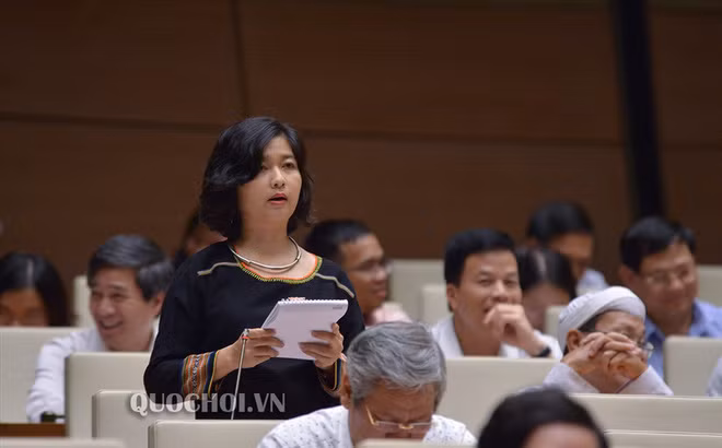 Theo đại biểu Ksor H’Bơ Khăp, hiện cán bộ, nhân dân ở địa phương có pin năng lượng này rất hoang mang ngay kể cả bản thân bà. “Bây giờ điện năng lượng, pin năng lượng tràn lan. Sau này pin đó dùng để làm gì? Dùng để nướng bò một nắng hay sao, vì vùng lòng chảo của chúng tôi có đặc sản là bò một nắng, heo một nắng. Thế những tấm pin đó sẽ xử lý thế nào, đưa lên mặt trăng hay dùng để tiếp tục làm món đặc sản bò một nắng?”, bà Ksor H'Bơ Khăp nói.