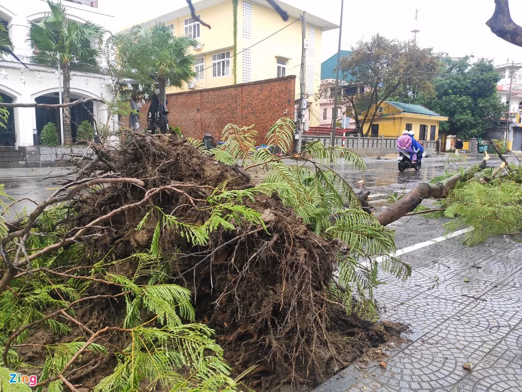 Cảnh ngổn ngang xuất hiện ở TP Huế sau khi bão số 13 ảnh hưởng đến đất liền.