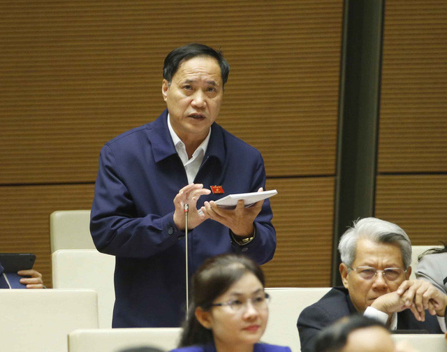 Đại biểu Nguyễn Mai Bộ.