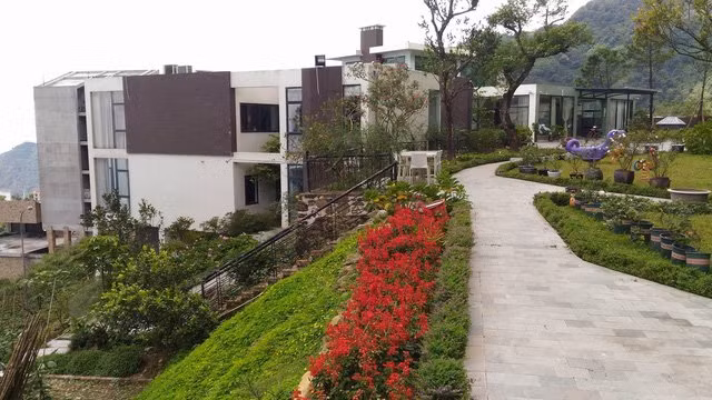 Gia san ong Trinh Xuan Thanh ngay ay khac bay gio ra sao?-Hinh-2