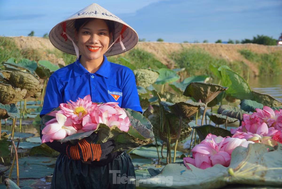 Ra dam hai sen luc rang sang, moi ngay thu tien trieu-Hinh-3