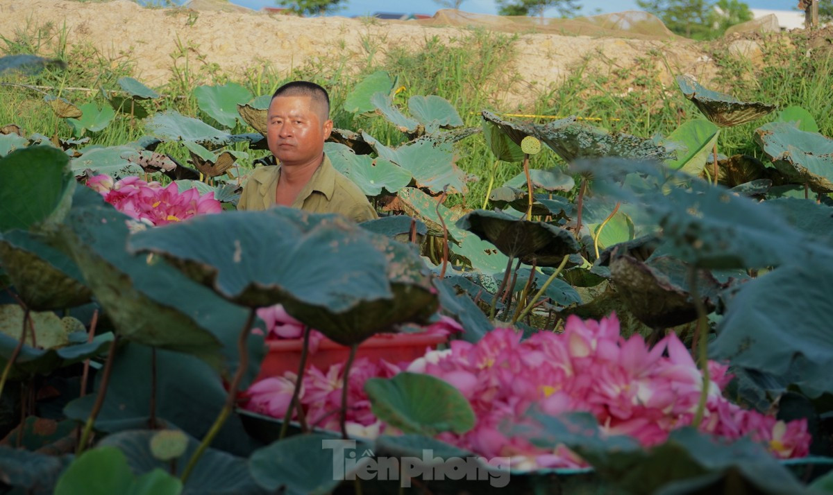 Ra dam hai sen luc rang sang, moi ngay thu tien trieu-Hinh-2