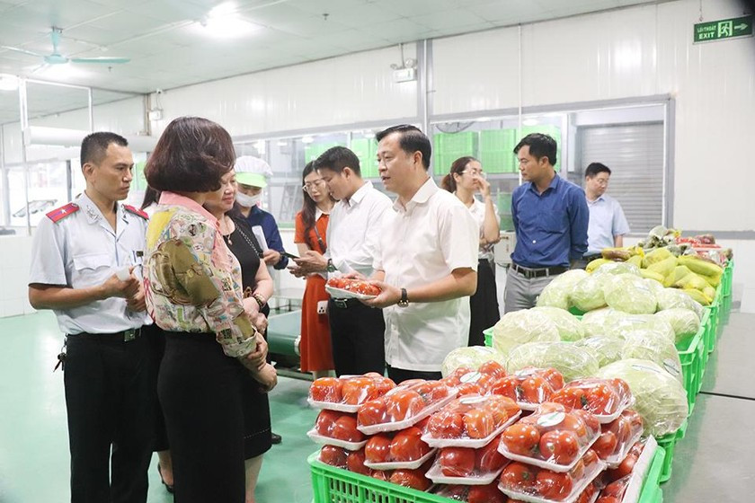 Hà Nội xử phạt hơn 3.000 cơ sở vi phạm ATTP Ha Noi xu phat hon 3.000 co so vi pham ATTP