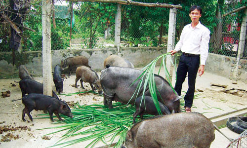 “Bao” thuc pham ban bao vay phong toa trang trai sach