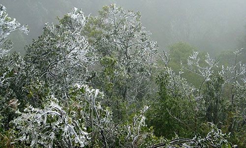 Khong khi lanh tran ve, nhiet do Mau Son 0,2 do C