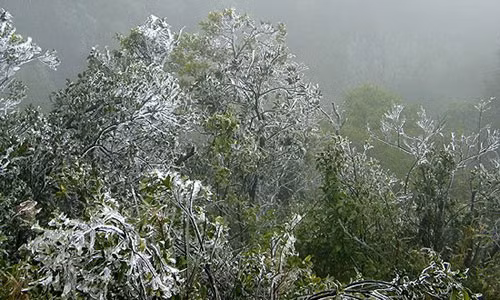 Khong khi lanh tran ve, nhiet do Mau Son 0,2 do C