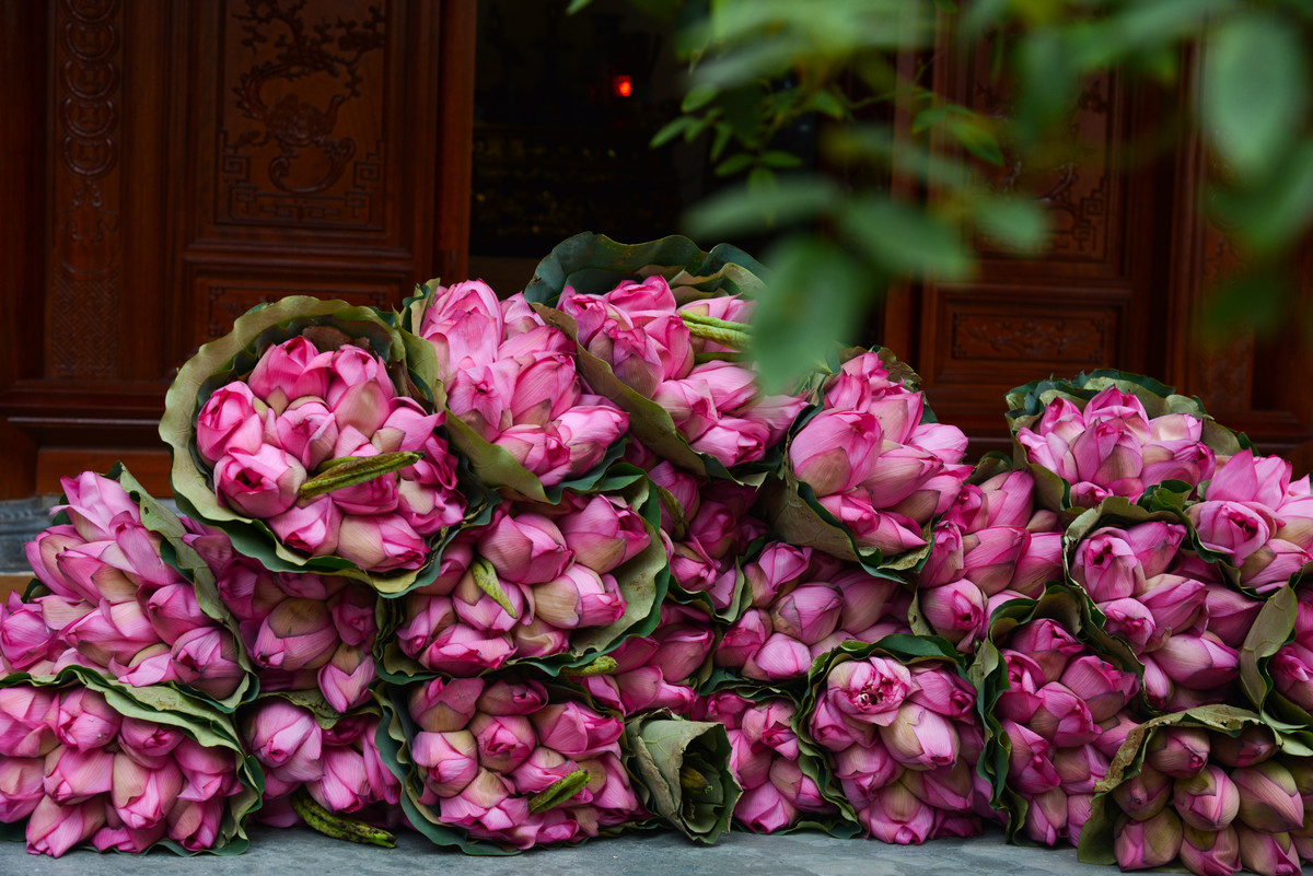 Tận mắt công đoạn ướp 1000 bông mới được 1kg trà sen gạo, bán 25 triệu/kg Tan mat cong doan uop 1000 bong moi duoc 1kg tra sen gao, ban 25 trieu/kg