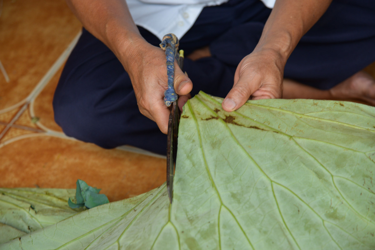 Lá sen được lựa chọn loại tươi để có thể bọc kín. Sau khi dùng lạt buộc cố định bên dưới cuống sen thì cắm 24h rồi cắt cuống, hút chân không sẽ để được lâu.