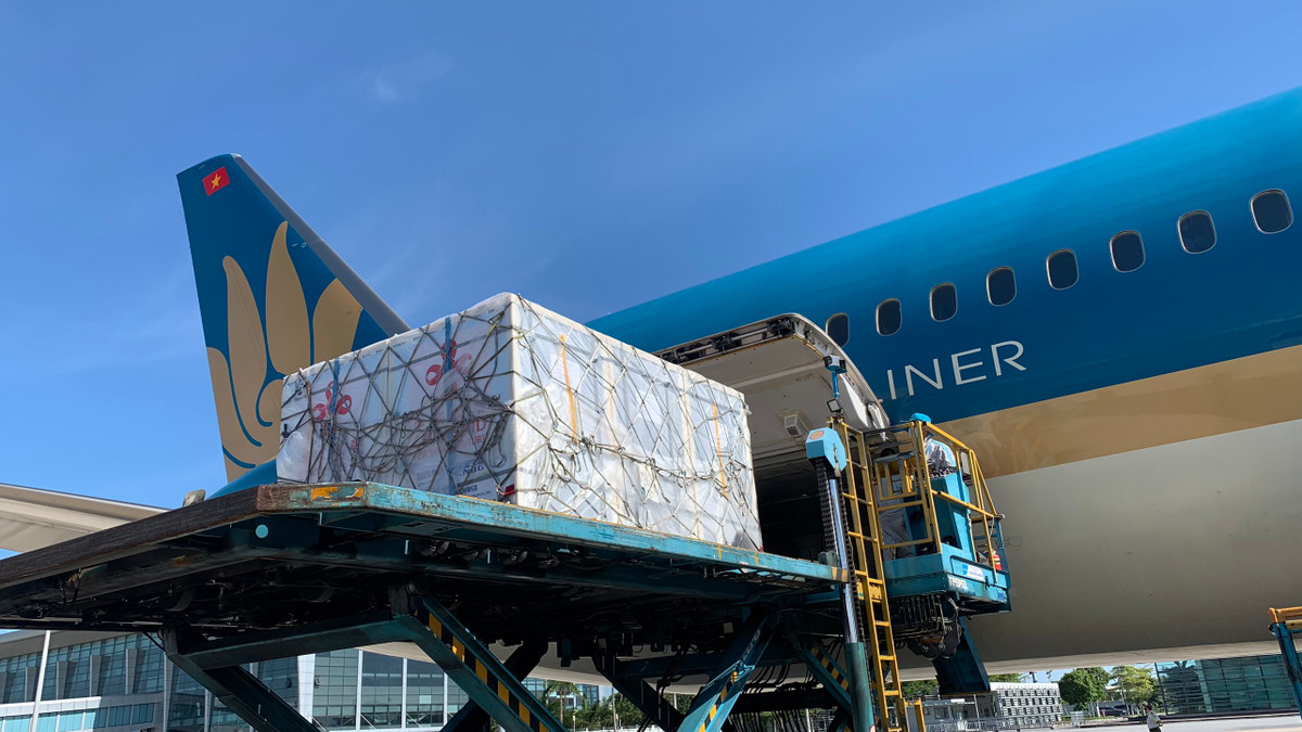 Dự kiến, 500 nghìn liều vaccine Vero-Cell mà Việt Nam tiếp nhận hôm nay sẽ được tiêm cho 3 nhóm đối tượng