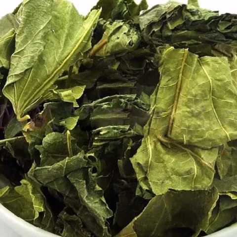 Lá dâu tằm khô được bán 50.000 đồng/kg. Loại lá này giúp cải thiện trí nhớ và chữa mất ngủ.