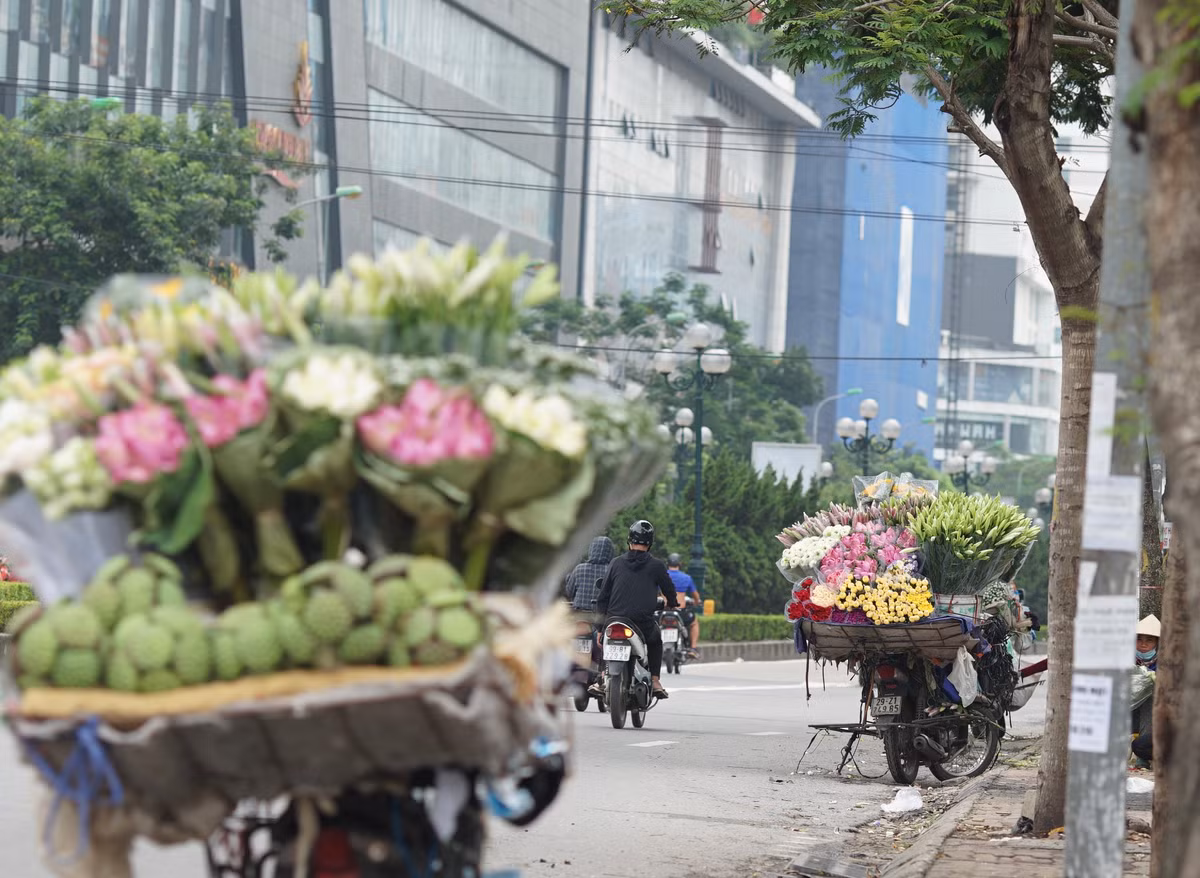 Chỉ còn trông chờ vào việc bán sen nhưng các chợ cũng bị hạn chế nên hoa sen chỉ có vài hàng bán rong dọc đường bán.