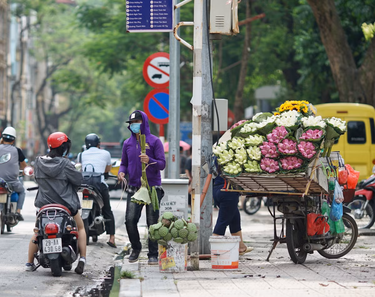 That thu vi vang nguoi chup anh, chu vuon nang gia sen de... go von-Hinh-2