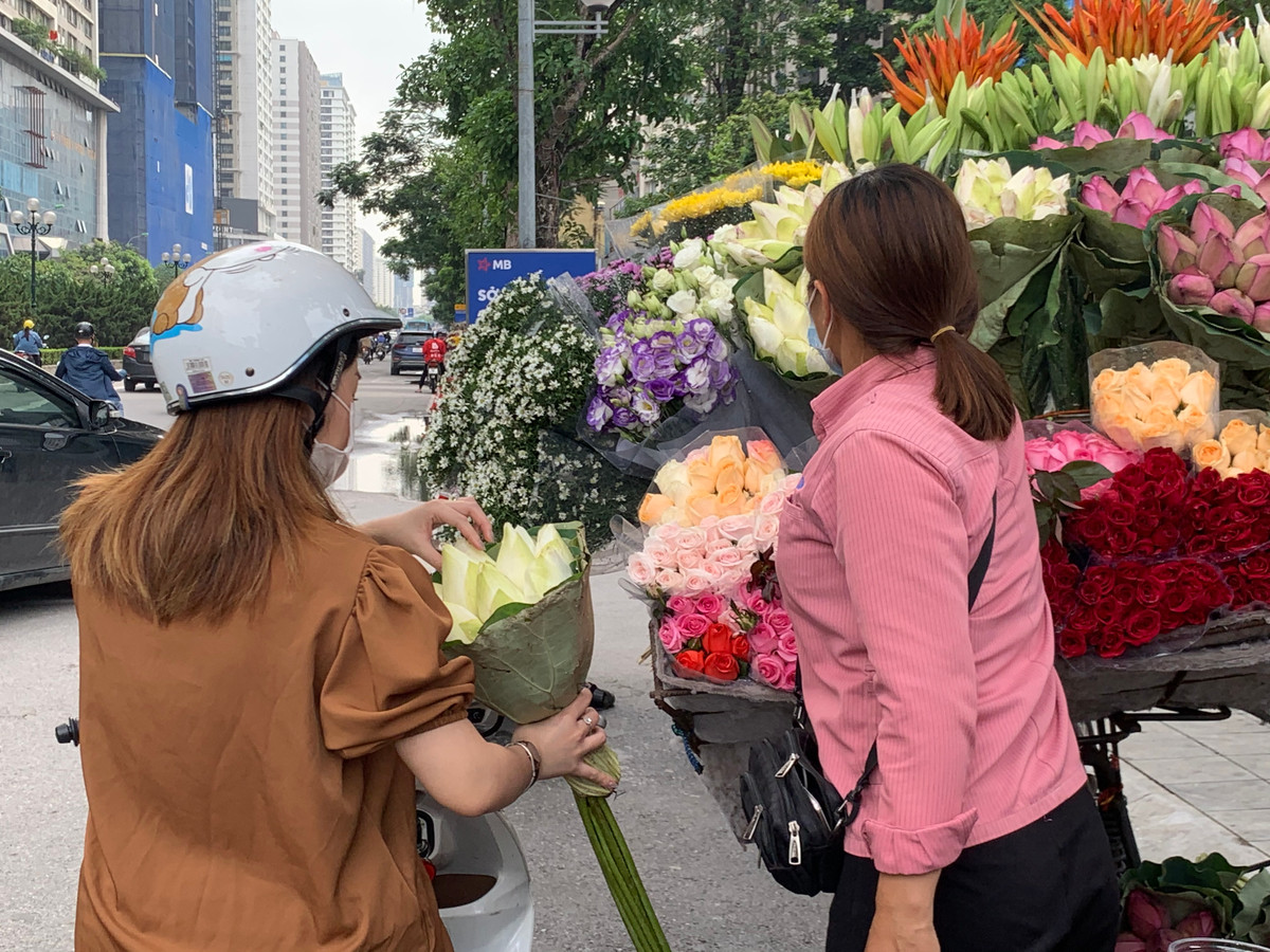 Chị Lan, một người bán hoa cho biết, do không có người đến chụp ảnh nên các đầm sen ít bị hỏng, chủ đầm cũng để hoa nở đều, đến độ đẹp mới hái.