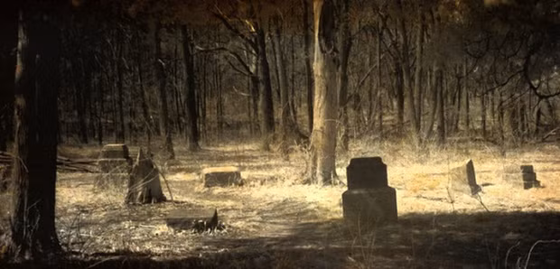  9. Nghĩa trang Bachelor’s Grove: Được biết tới là một trong những địa điểm ma ám rùng rợn nhất nước Mỹ, nghĩa trang Bachelor’s Grove mở cửa năm 1844 với nhiều vụ biến mất bí ẩn nếu người nào đó hoặc con vật nào đó không may lạc vào.