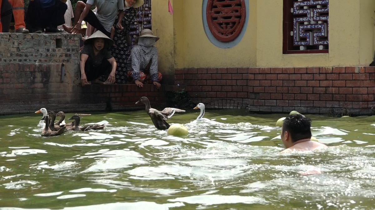 Người dân nhiệt tình cổ vũ và xua những chú vịt muốn lên bờ.