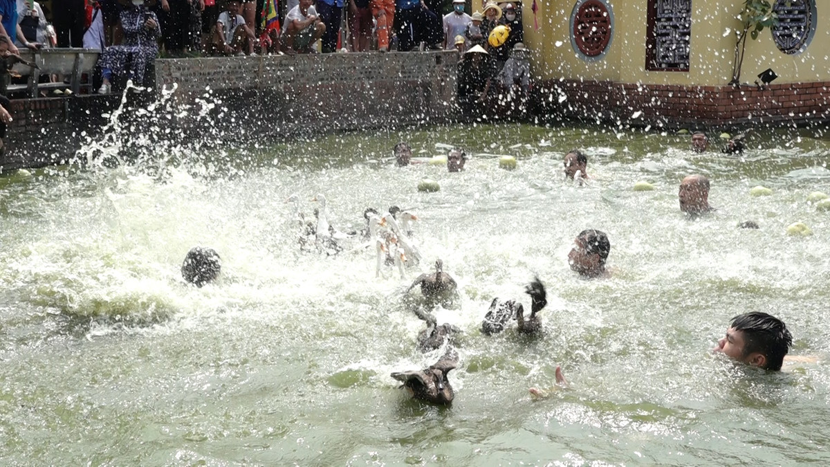 Những người tham gia dồn vịt bơi sát vào góc hồ sau đó nhiều người quây lại bắt.