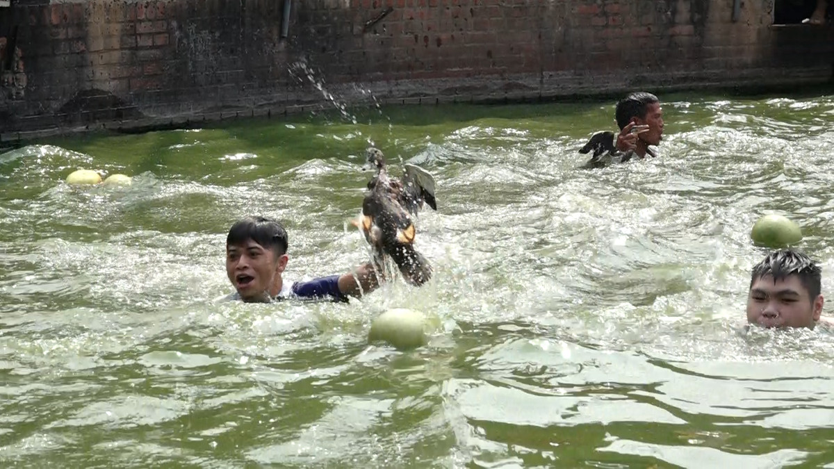 Với khả năng ngụp lặn siêu phàm, nhanh chân thoát khỏi vòng vây, nhưng vẫn bị bắt ngay sau đó.