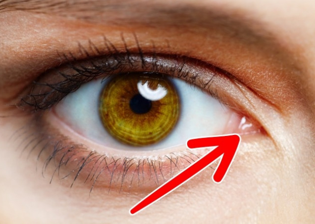  2. Mí mắt thứ ba: Tổ tiên chúng ta, hay ở loài chim và động vật có vú có thể đã có một màng bảo vệ mắt để ngăn chặn và quét sạch bụi bặm. Do đó giờ đây con người vẫn còn giữ lại một nếp gấp nhỏ ở góc trong của mắt.