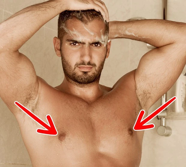  9. Núm vú của đàn ông: Trên thực tế, núm ngực xuất hiện ngay trong thai kỳ ở thời điểm trước khi hormone và gene quy định giới tính can thiệp. Bởi vậy, cả nam cả nữ đều có "núm". Có điều, chiếc núm của đàn ông chẳng để làm gì cả. Và biết đâu đấy, quá trình tiến hóa đôi khi lại khiến bộ phận cơ thể người này biến mất ấy chứ.