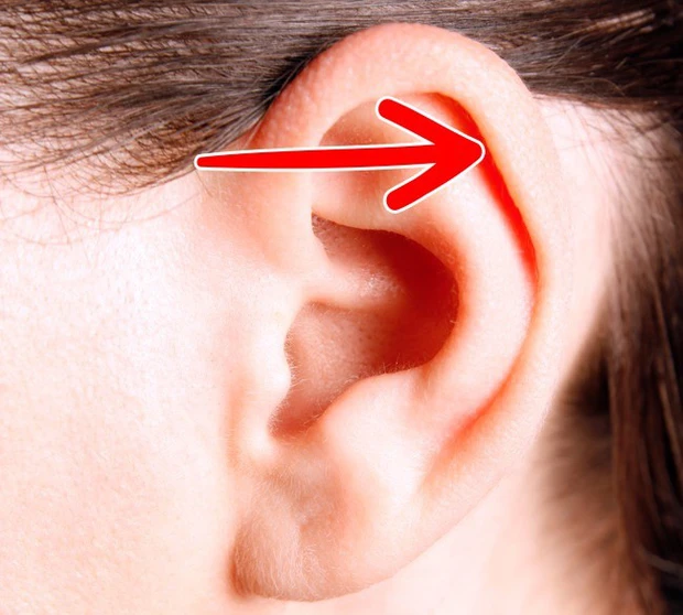  12. Điểm Darwin: Điểm Darwin (Darwin's point) là tên gọi để chỉ vùng da bị gấp phía trên tai. Quả thực, đây là một trong những bộ phận vô dụng nhất của cái "lỗ nhĩ". Chẳng thấy có tác dụng gì, chỉ tổ giữ bụi và dễ viêm nhiễm thôi. 