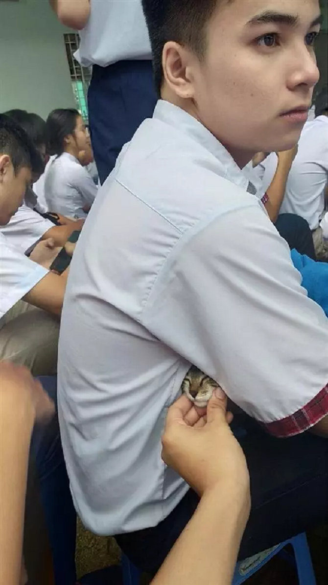 Boss thân yêu cùng tới dự khai giảng cùng sen.