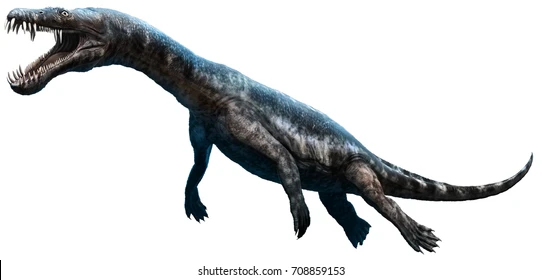 Những chiếc răng nhọn hoắc cùng hệ thống xương hàm khỏe mạnh giúp cho những con khủng long biển này có thể xé xác bất kỳ con mồi nào ở phạm vi gần chúng.