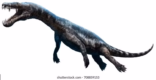 Những chiếc răng nhọn hoắc cùng hệ thống xương hàm khỏe mạnh giúp cho những con khủng long biển này có thể xé xác bất kỳ con mồi nào ở phạm vi gần chúng.