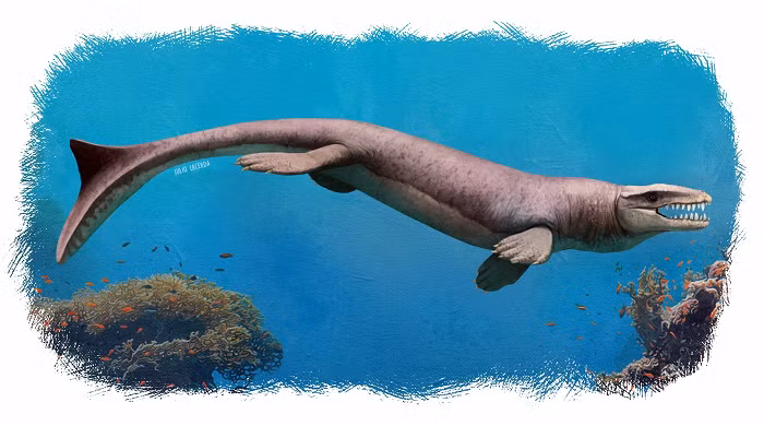 Đặc biệt khả năng di chuyển và săn mồi của Dakosaurus đáng sợ hơn cá sấu hiện tại rất nhiều.