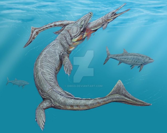 Loài này trông khá giống cá sấu hiện đại. Nó có thể đạt chiều dài tới 5m và có hàm răng vô cùng sắc nhọn.